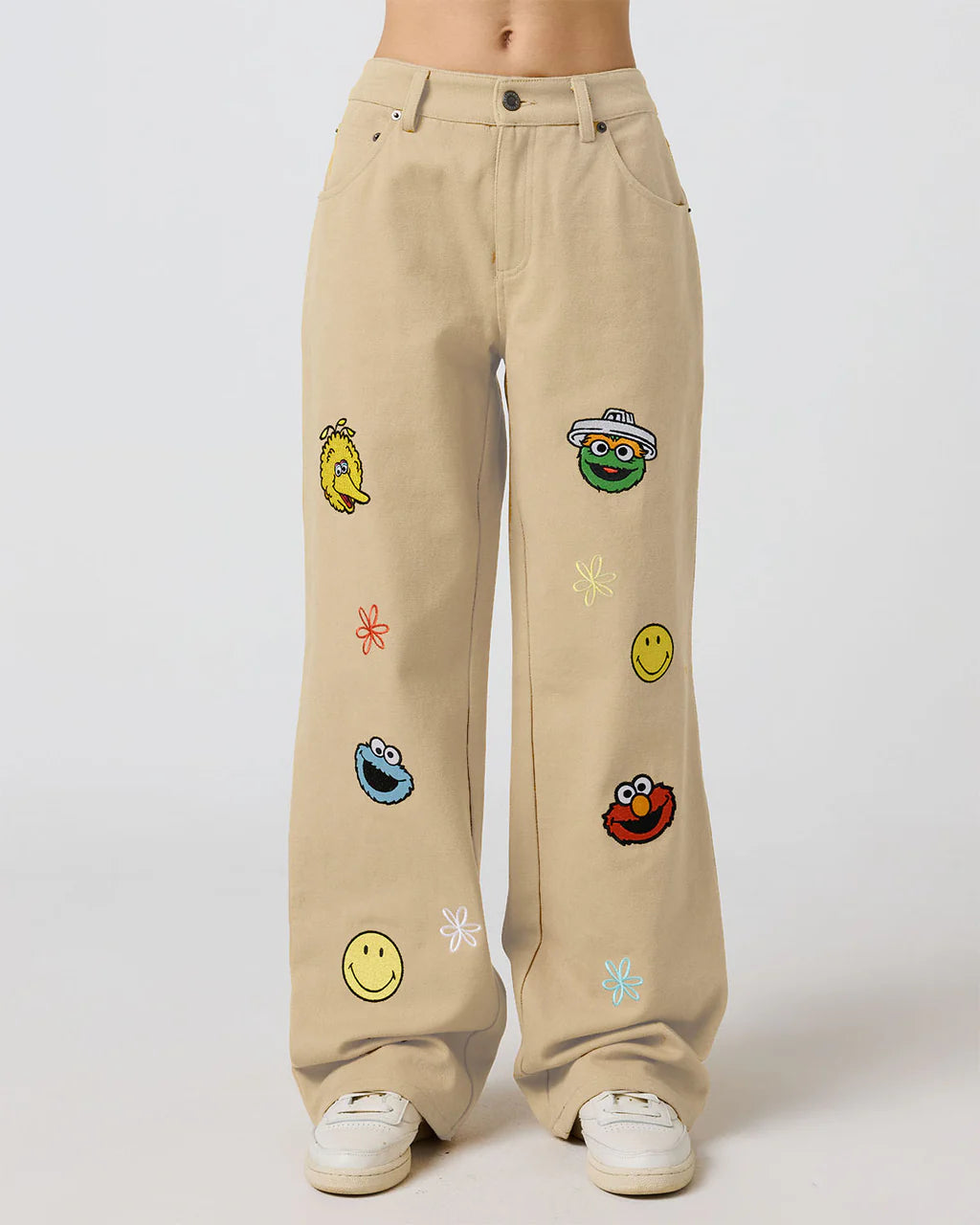 Sesame Street The Happy Pants, Canvas