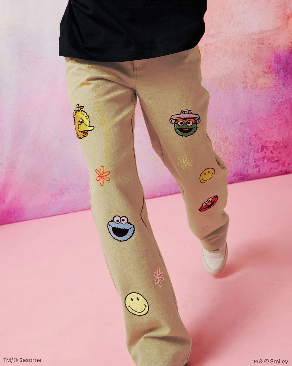 Sesame Street The Happy Pants, Canvas