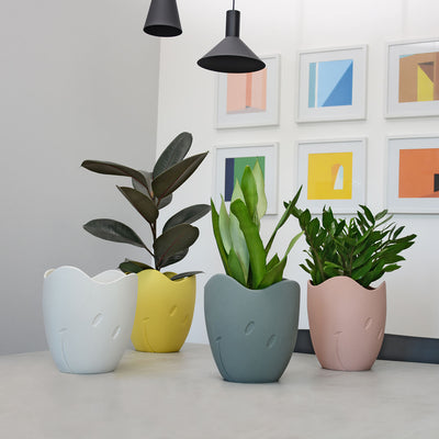 Vas Bunga Smiley® x Lineasette