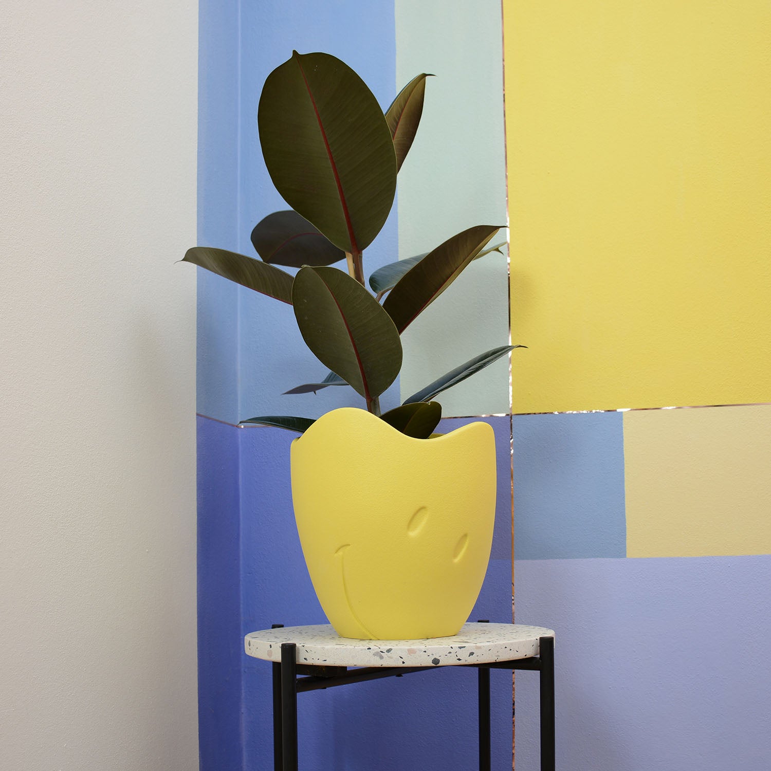 Vas Bunga Smiley® x Lineasette